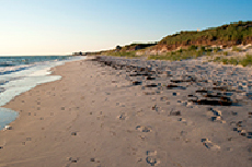 West Falmouth protected coastal habitat